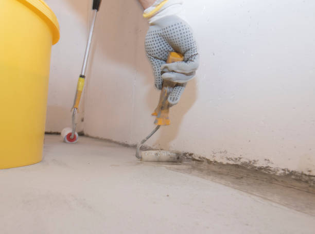 Best Fumigation Services  in Baldwinsville, NY